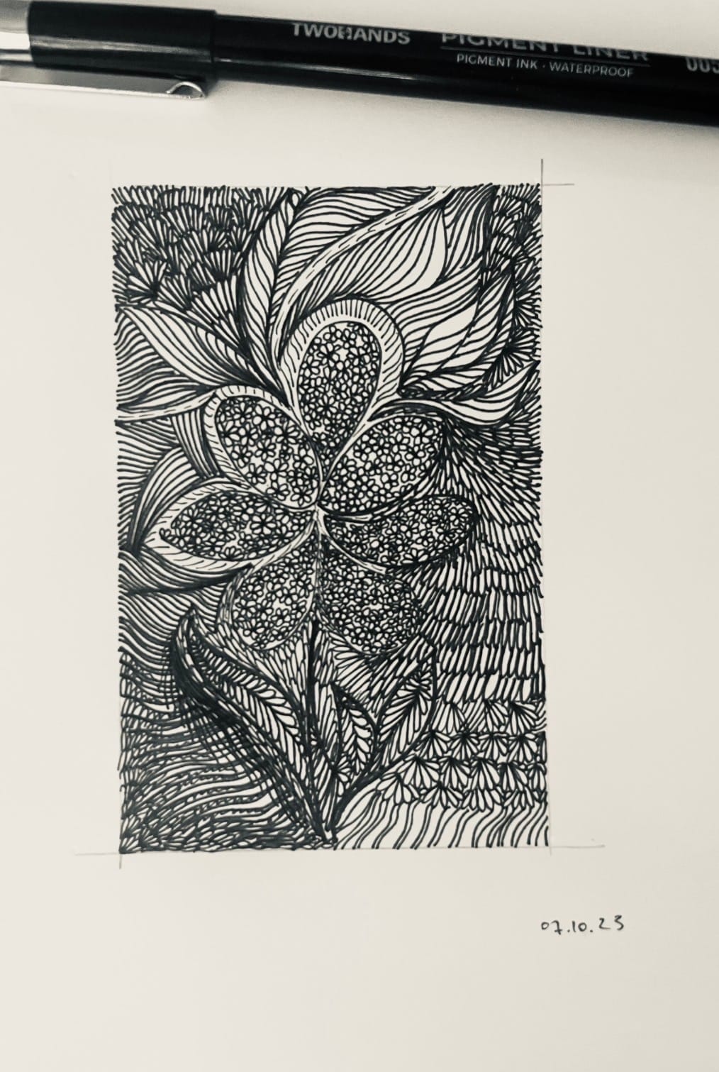 Fineline Spring Doodling