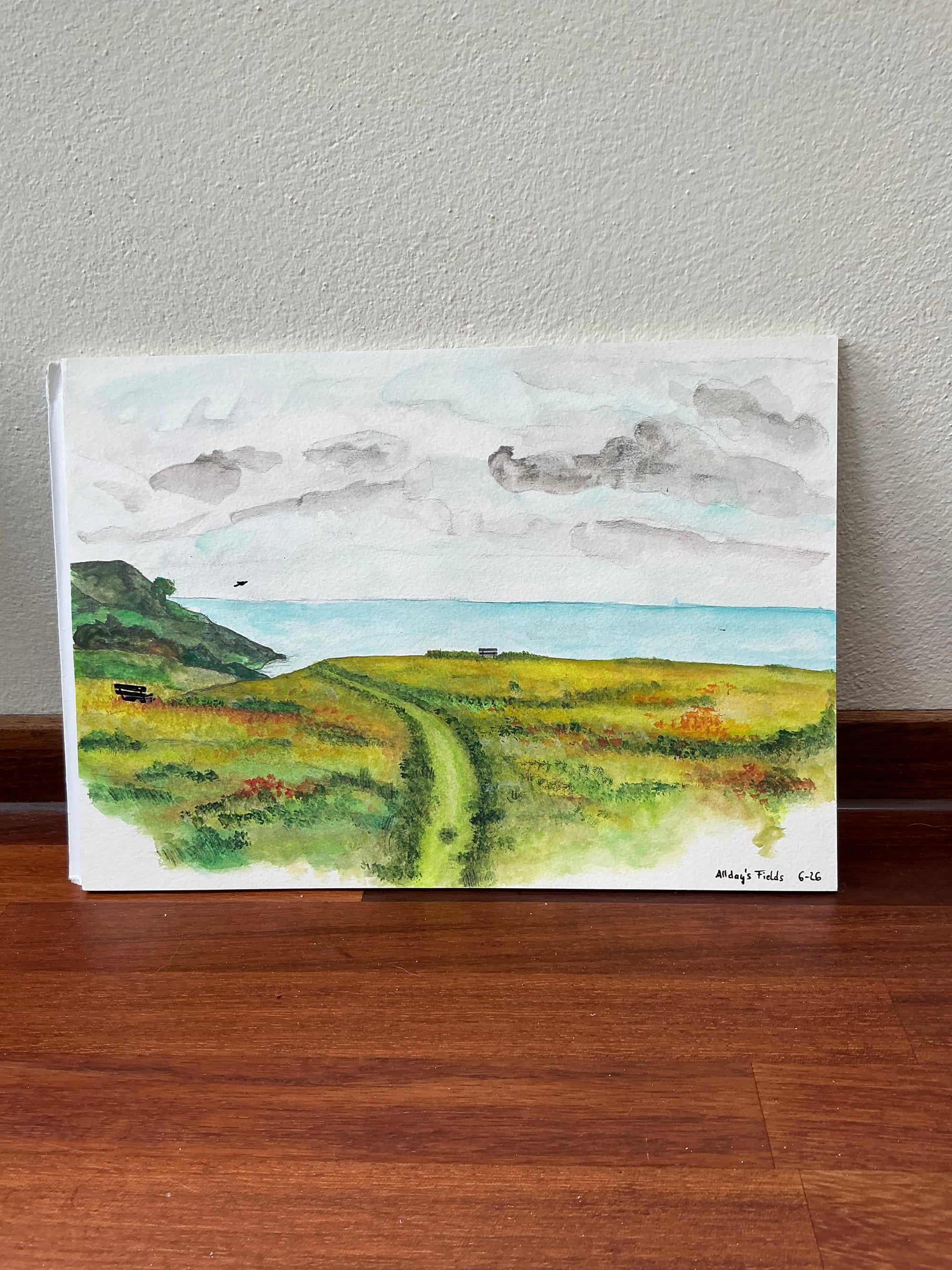 Allday‘s Field Sketch