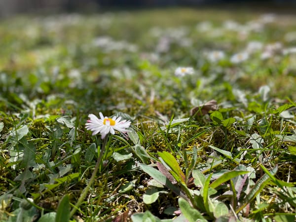 Die Welt im Moment