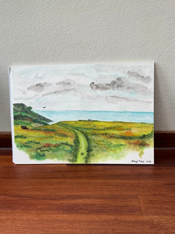 Allday‘s Field Sketch